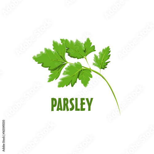 Logo Parsley vector farm design