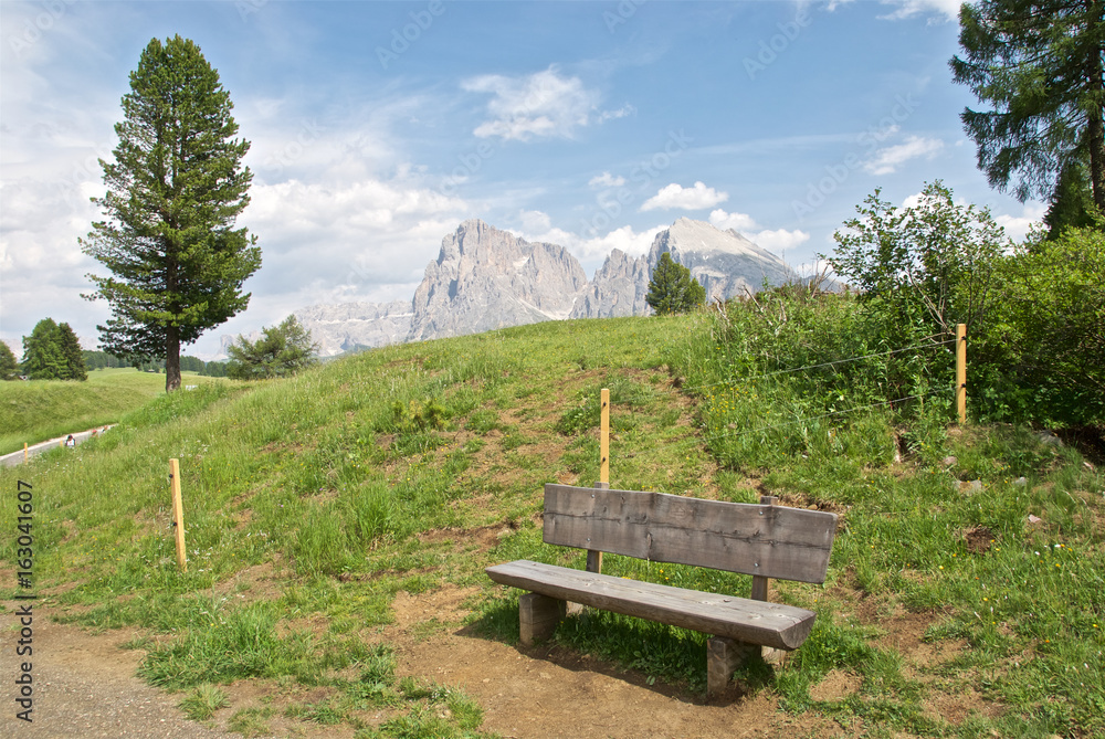 Fototapeta premium Alpe di Siusi. Dolomiti dell'Alto Adige