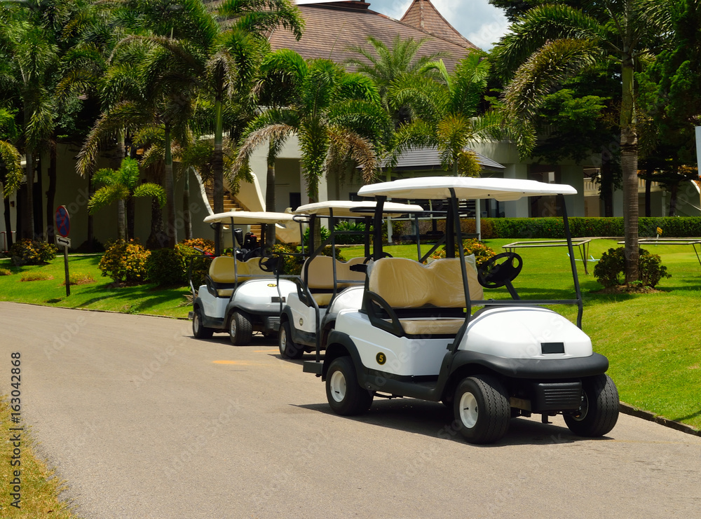 white golf cart in a golf course