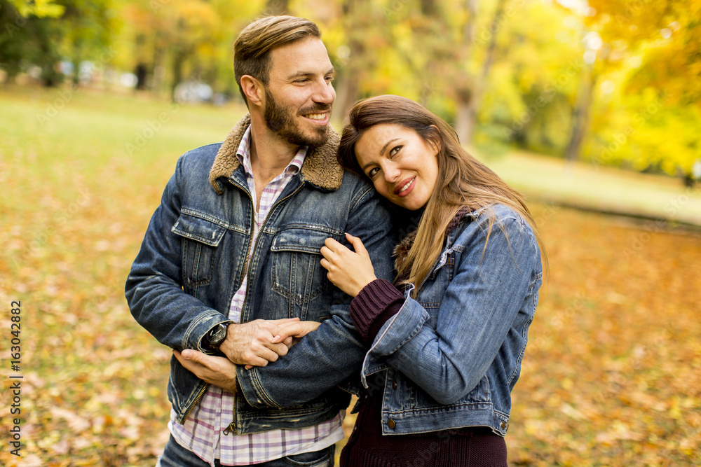 Smiling couple hugging in autumn park Smiling couple hugging in autumn park