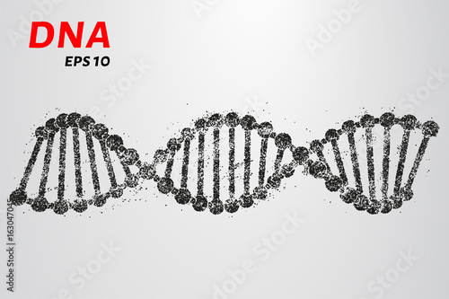 DNA from the particles. Silhouette of DNA consists of small circles.
