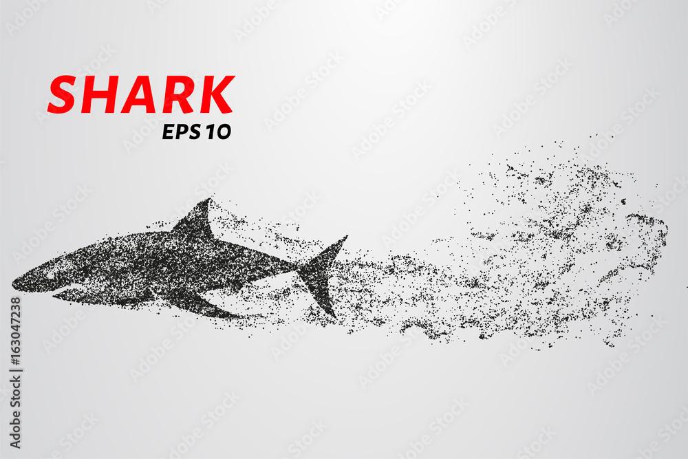 Fototapeta premium The shark from the particle. The shark consists of circles and points. Vector illustration.