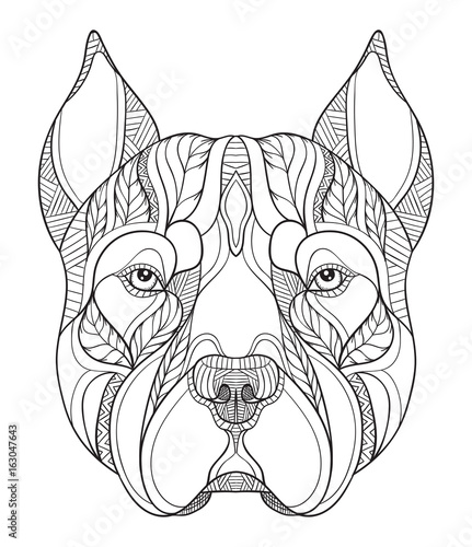 Pit bull terrier head zentangle, doodle stylized, vector, illustration, hand drawn, pattern. Zen art. Print for coloring books. Black and white illustration on white background. Line art.