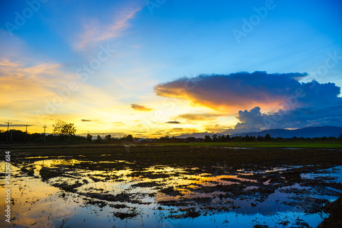 reflection of the sunset on the farm in north of thailand.