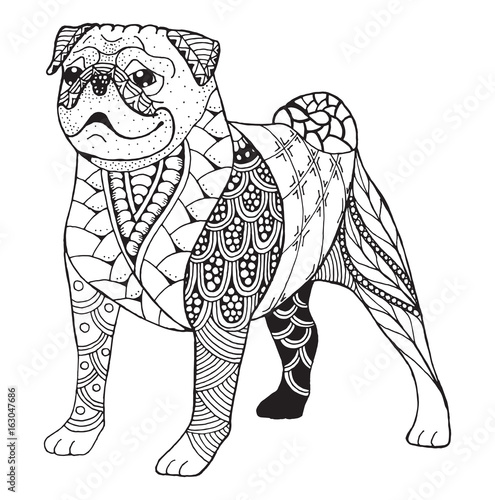 Pug dog zentangle stylized, vector, illustration, freehand pencil, hand drawn, pattern. Zen art. Black and white illustration on white background.