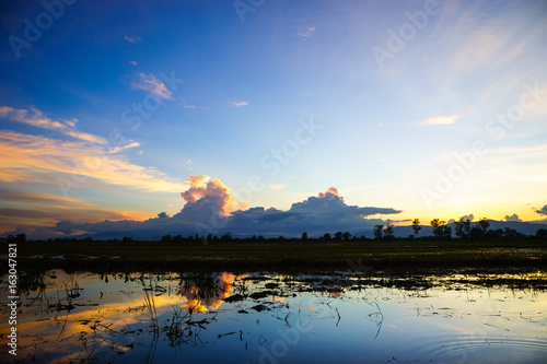 reflection of the sunset on the farm in north of thailand.