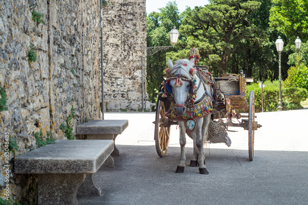 Sicilian cart with white horse. Carries typical Sicilian objects. Erice