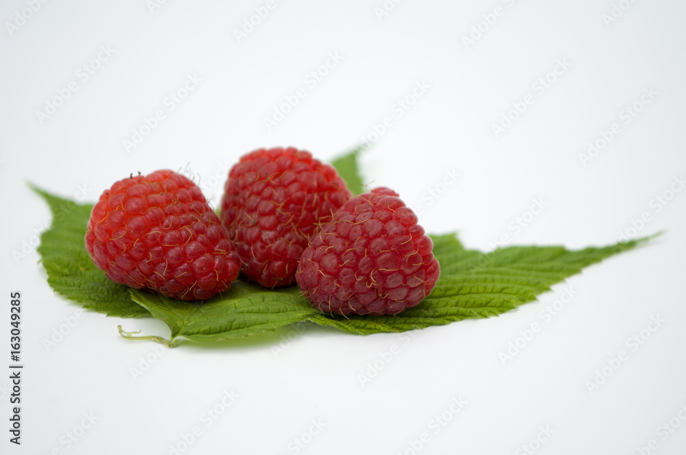 Bright red fresh raspberries, from a family orchard. The raspberry type is Polana Bright red fresh raspberries, from a family orchard. The raspberry type is Polana