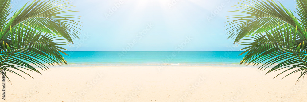 Sunny tropical beach panorama, turquoise Caribbean sea with palm trees