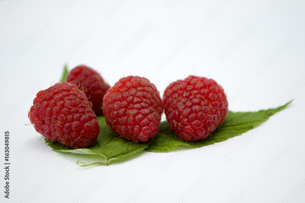 Bright red fresh raspberries, from a family orchard. The raspberry type is Polana Bright red fresh raspberries, from a family orchard. The raspberry type is Polana