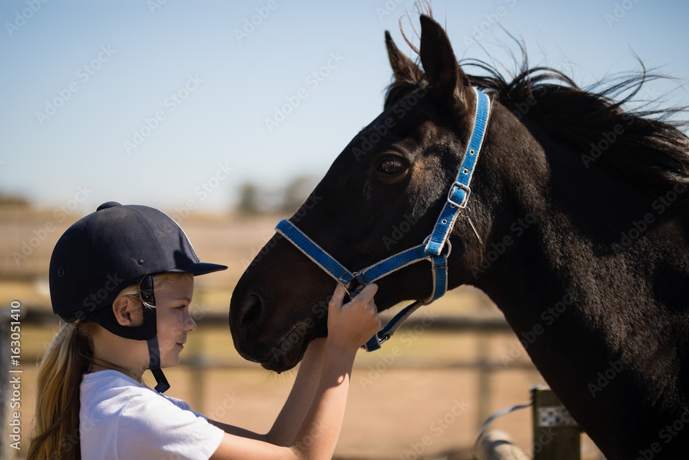 Obraz premium Girl staring at the brown horse in the ranch