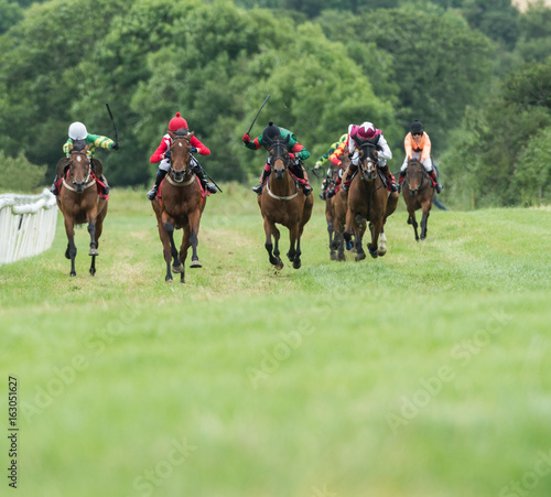 Race horses with jockeys on the home straight galloping owards the finish line