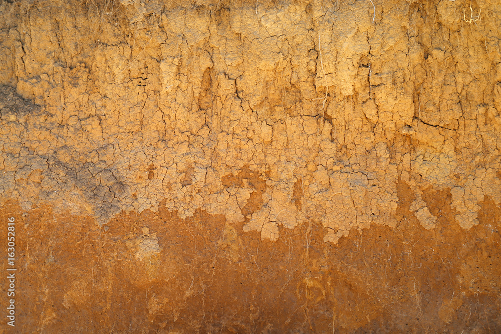 texture of the earth texture of the earth