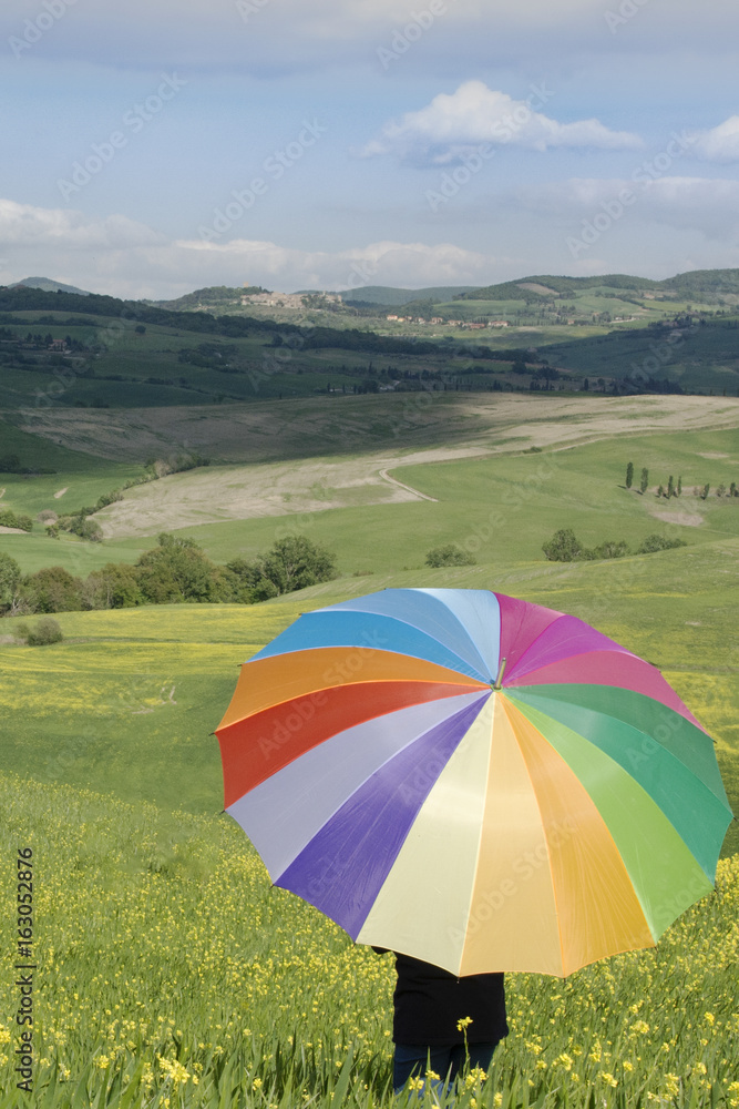 Ombrello multicolore in campo fiorito in primavera. Orientamento verticale