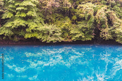 Fototapeta Naklejka Na Ścianę i Meble -  Turquoise blue water and large trees