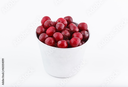 фотографія Morello cherry
