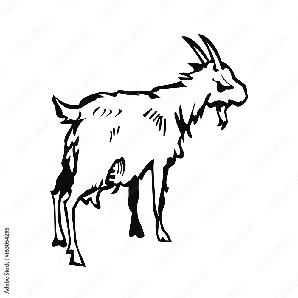 Fototapeta premium goat