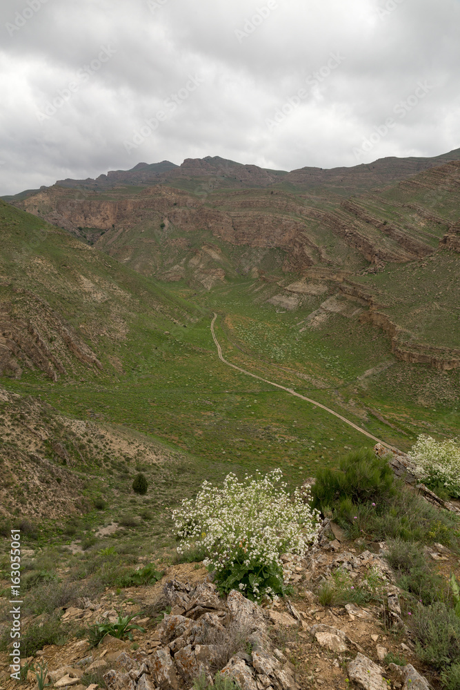 Obraz premium Tandooreh National Park, Razavi Khorasan, Iran