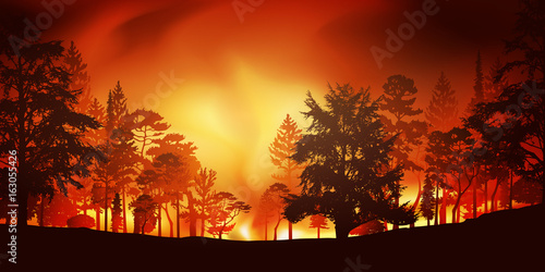 feu - pompier - incendie - feu de forêt - incendie de forêt - catastrophe