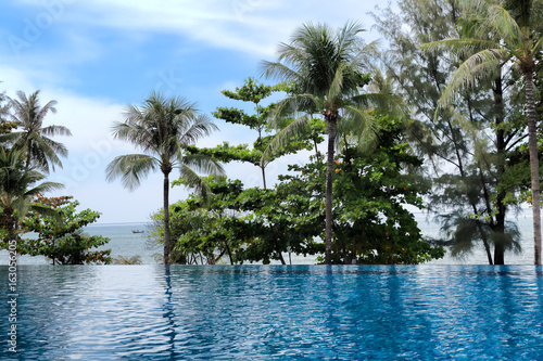 Swimming pool with a view of palm trees