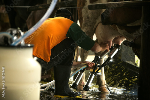 Fazenda de leiteiro