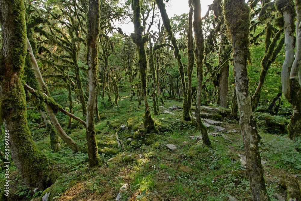 Obraz premium Beautiful views in the canyon Psaho