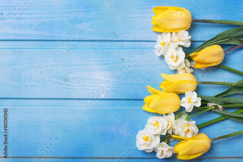 Fototapeta Naklejka Na Ścianę i Meble -  Border from yellow tulips and daffodils flowers on blue wooden background.