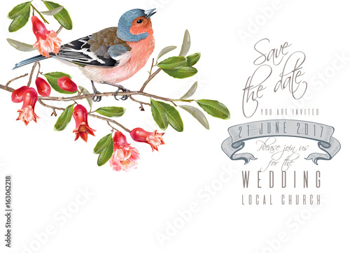 Finch pomegranate branch card