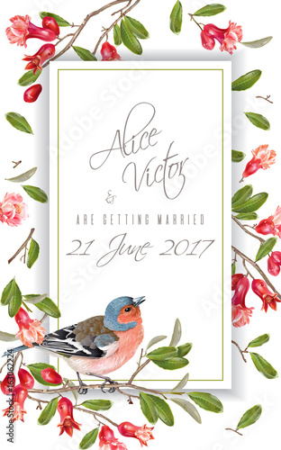 Finch pomegranate branch fame