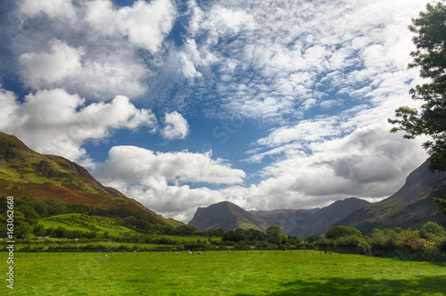 Sheep graze near Buttermere Lake District