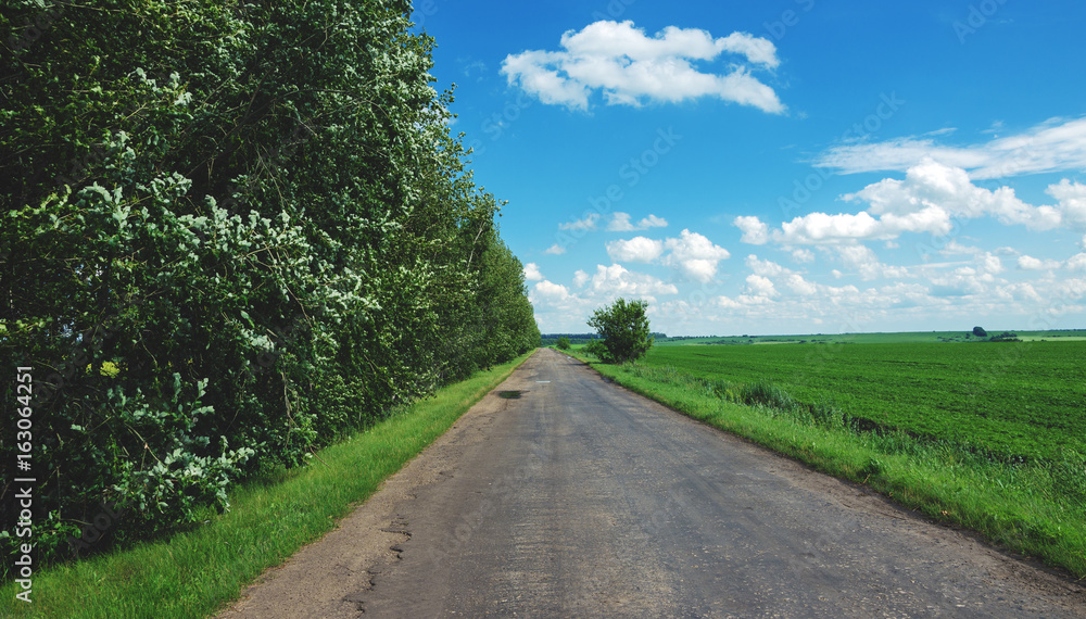 Asphalt road.Sunny countryside landscape.