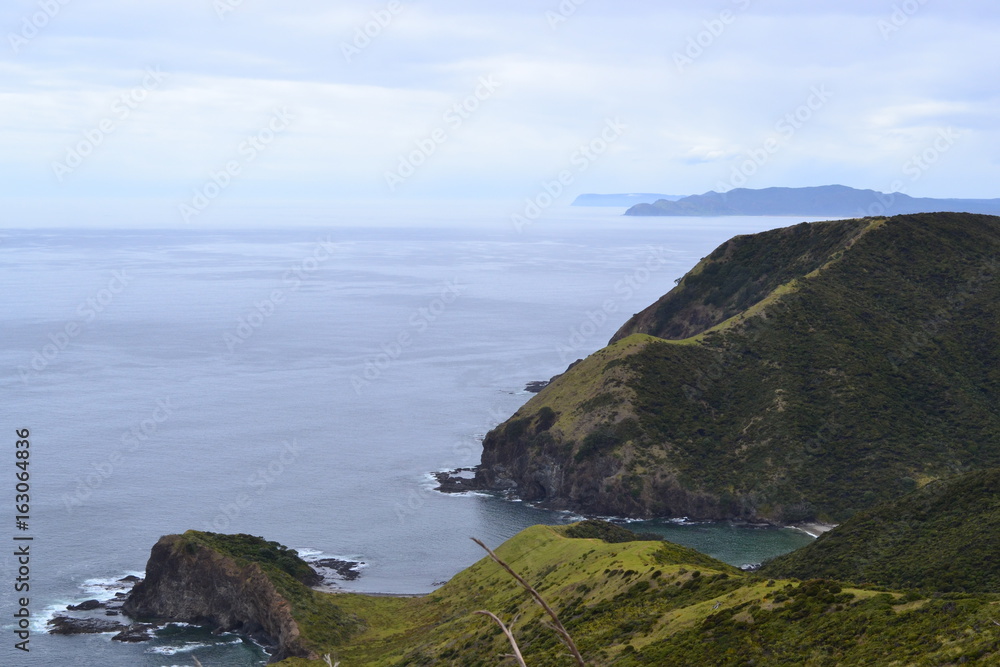 ocean view in New Zealand