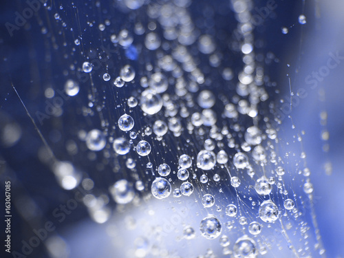 blue web net with water drops