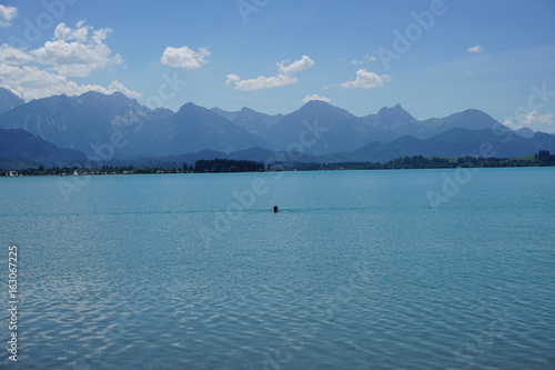 Billede på lærred Schwimmer in oberbayerischem See