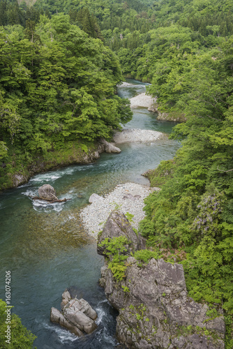 新緑の玉川渓谷