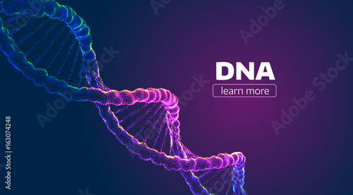Fotografia Abstract vector DNA structure. Medical science background