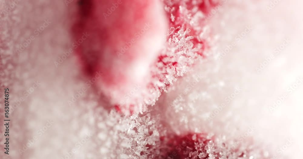 raspberry frozen ice cream stick raspberry frozen ice cream stick