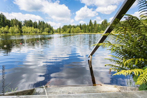 wooden ladder leading into water at summery lake photo