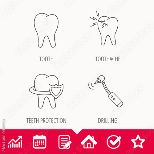 Tooth  toothache and drilling tool icons. Teeth protection linear sign. Edit document  Calendar and Graph chart signs. Star  Check and House web icons. Vector