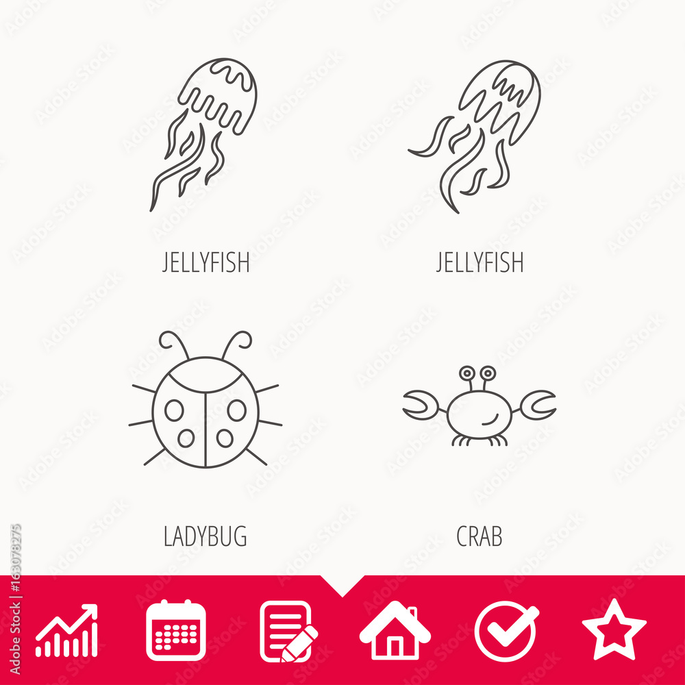 Jellyfish, crab and ladybug icons. Ladybird linear sign. Edit document, Calendar and Graph chart signs. Star, Check and House web icons. Vector