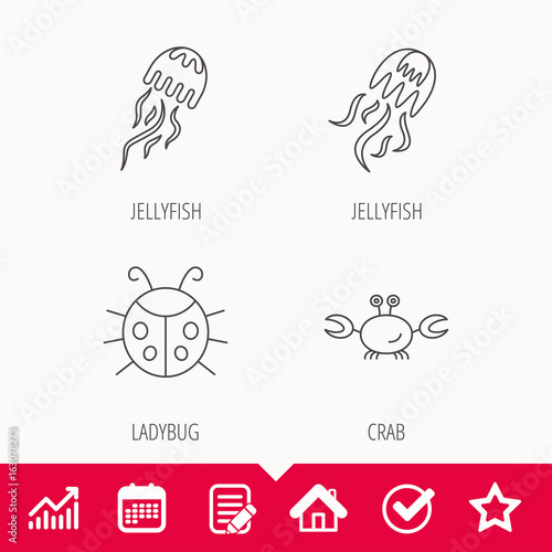 Jellyfish  crab and ladybug icons. Ladybird linear sign. Edit document  Calendar and Graph chart signs. Star  Check and House web icons. Vector