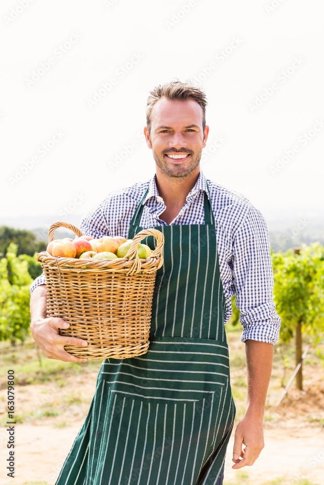Portrait of man with apple basket at vineyard Portrait of man with apple basket at vineyard