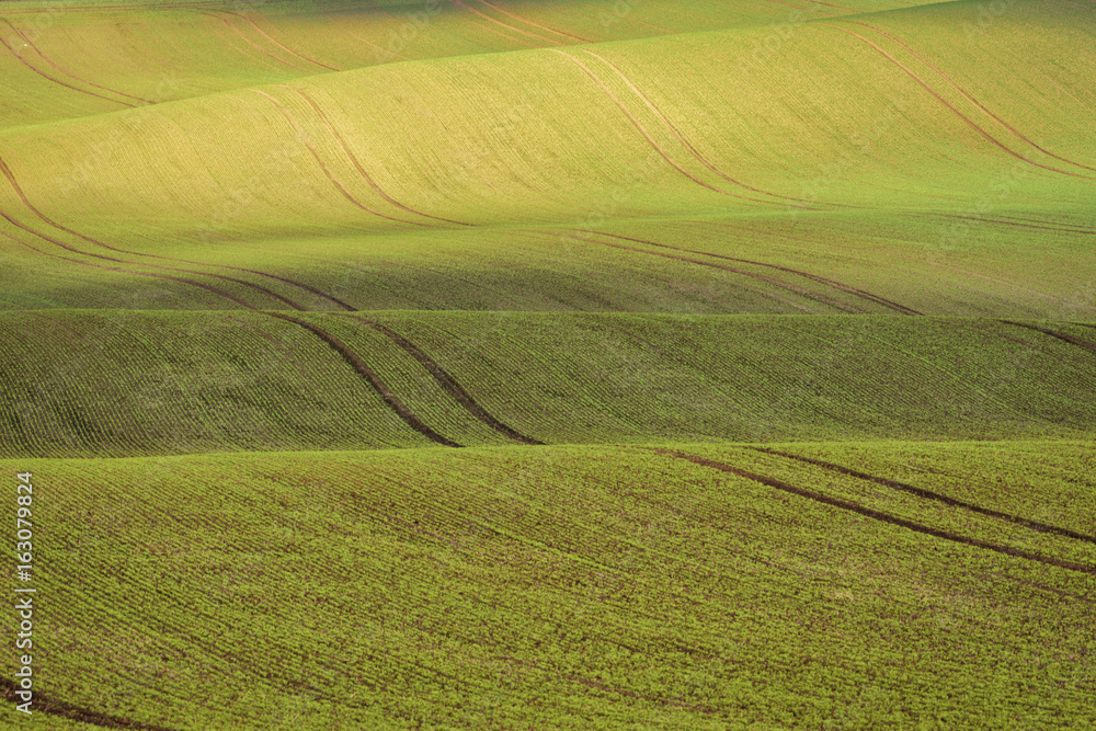 Moravian spring rolling Landscape