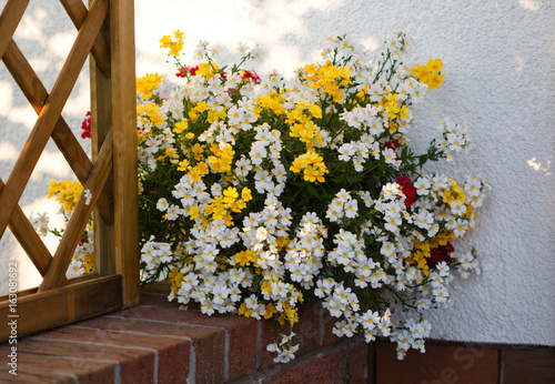 Obraz na plátne bouquet of nemesis