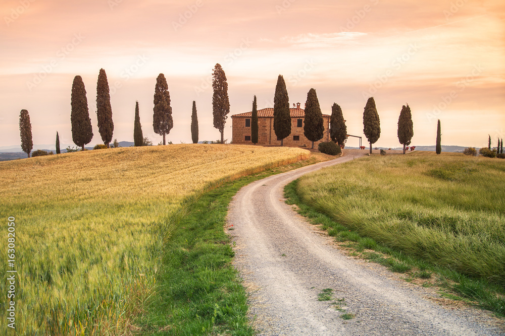 tuscany,  italy, landscape, val de orcia, nature, sunset, sunrise, toscana