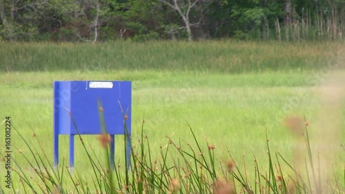 A green head trap sits in middle of upland marsh controlling horsefly populations for summer time locals and tourists photo