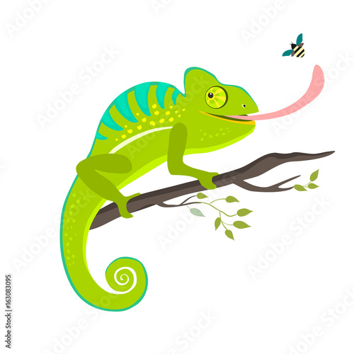 Green chameleon sitting on the branch on white background  vector illustration.
