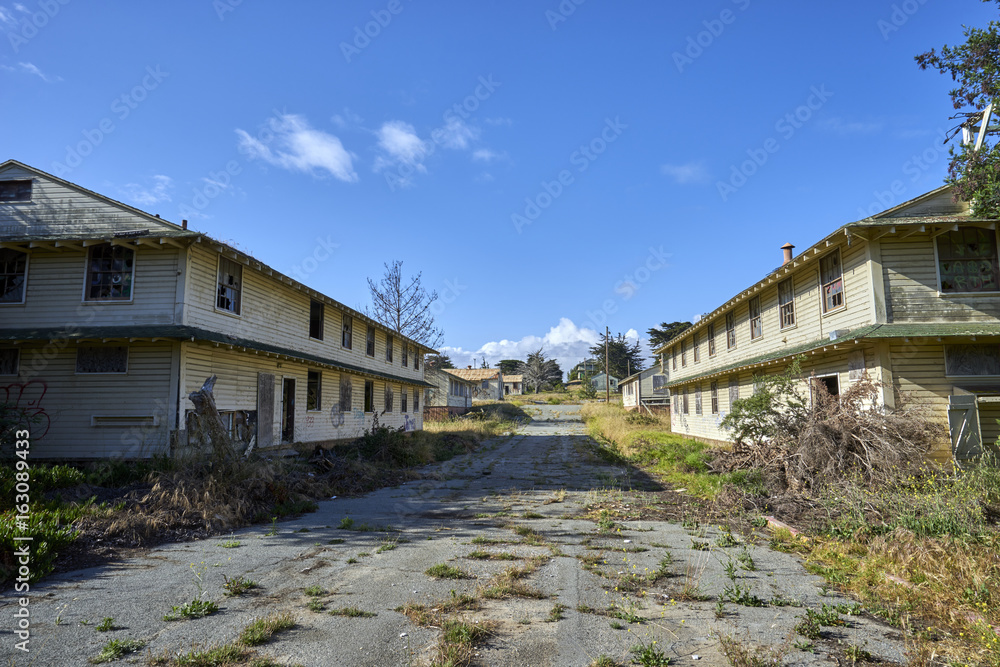 overgrown and cracked asphalt street between two deserted, condemned barracks