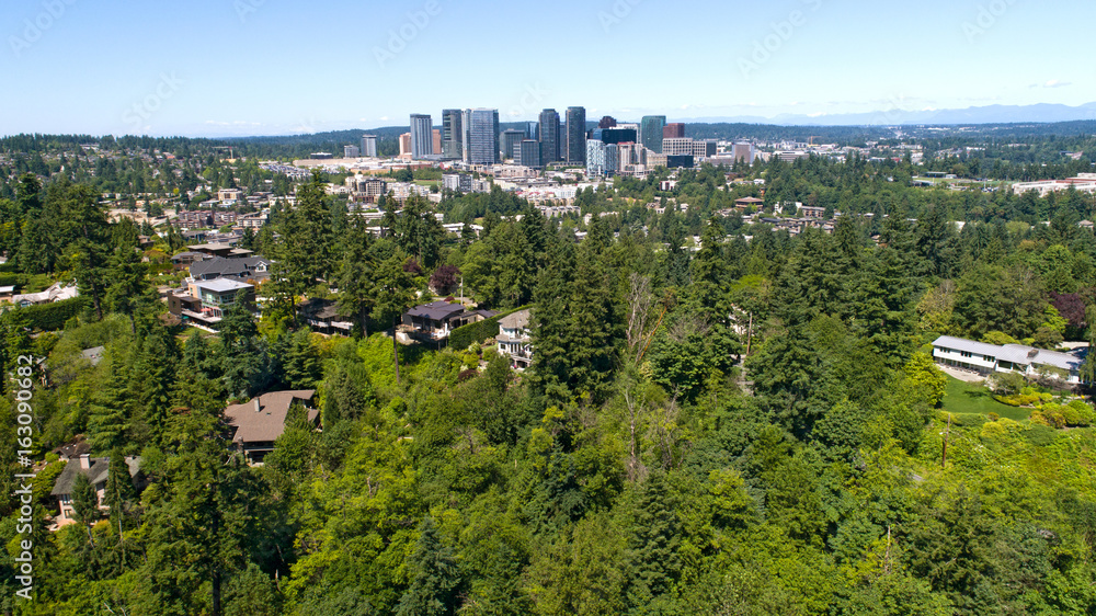 Bellevue Washington City Forested Landscape View