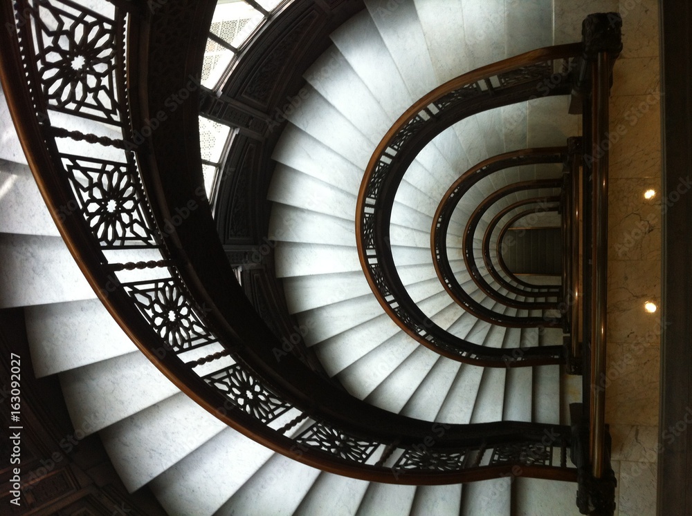 Fototapeta premium Rookery